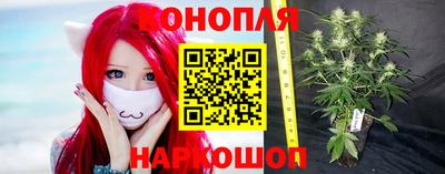 spice Абинск