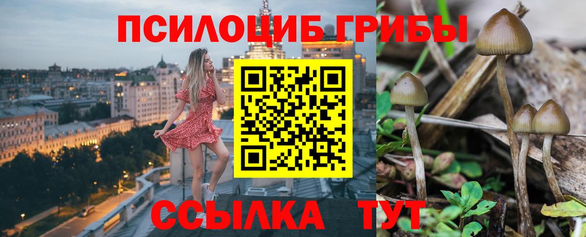 Анапа  Псилоцибиновые грибы MAGIC MUSHROOMS  Псилоцибиновые грибы MAGIC MUSHROOMS  Вход с VPN 
