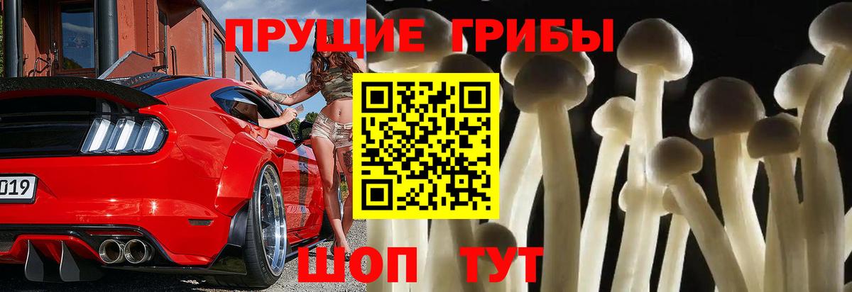 Галлюциногенные грибы Psilocybine cubensis Анапа